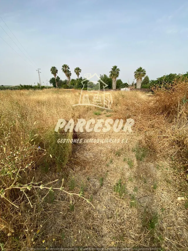 MAJANEQUE - Estupendo precio!! Parcela de 1.250m para invers