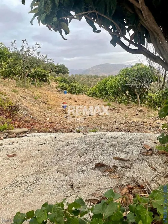 Adosado 2 habitaciones 65m² en venta - Vélez Málaga — 21