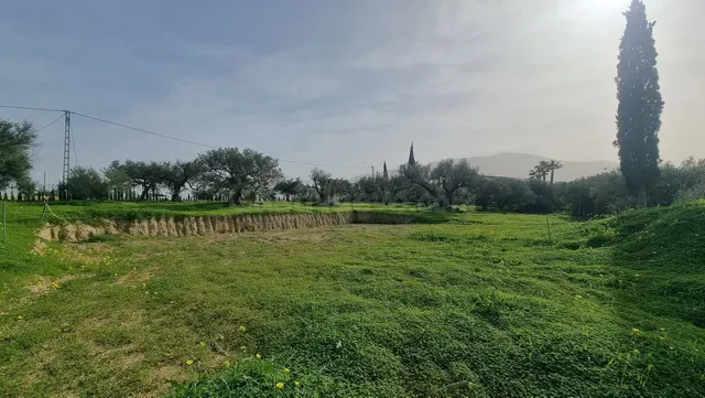 Finca rústica con olivos en Alhaurín el Grande - Costa del S - foto 4