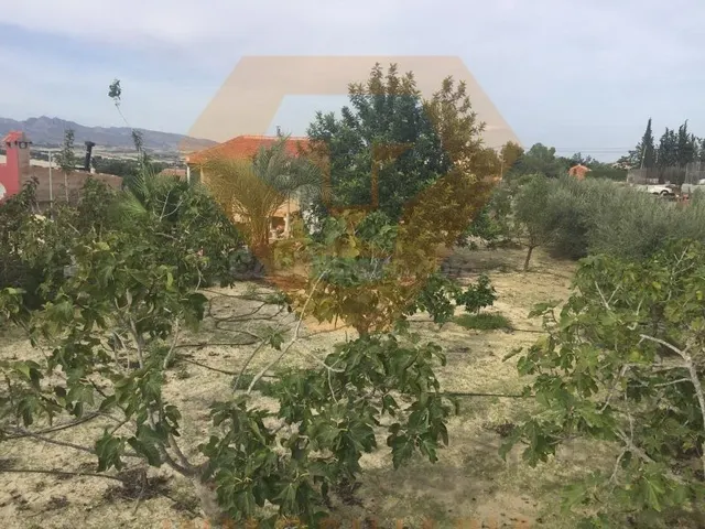 SE VENDE PARCELA EN EL ROMERAL MOLINA DE SEGURA - foto 2