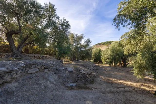 Finca rústica en venta en Pinos del Valle (Valle de Lecrín) — 42