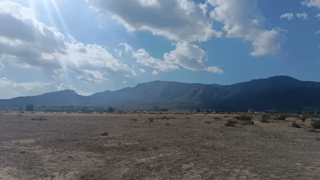 Terreno en Salinas para proyecto único - Comunidad Valenciana — 7