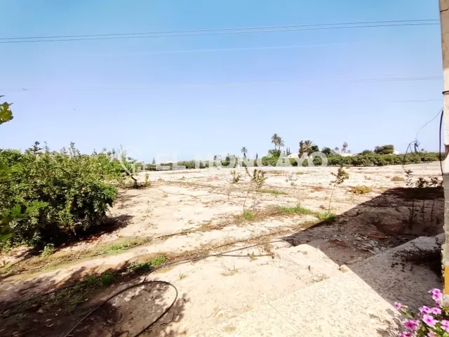 Fantástica casa de campo con parcela en la zona del campo de Elche, Alicante, Costa Blanca — 11