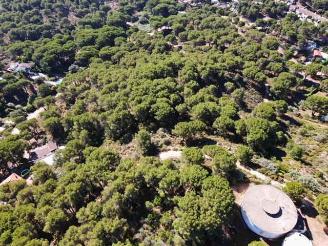 ¡¡PARCELA URBANA EN LAS JARAS!!! — 15