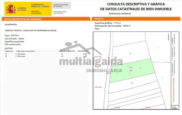 PARCELA RÚSTICA EN LA ZONA DE RANCHO PEREGIL - foto 3