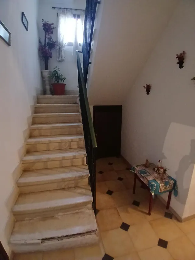 Gran finca urbana en el centro. — 13