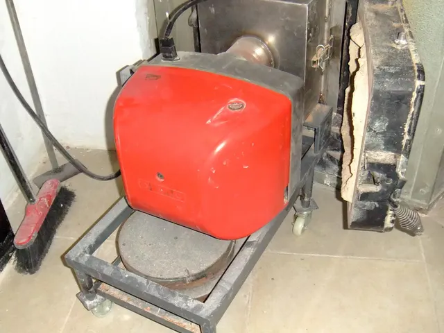 TRASPASO DE HORNO  BOLLERÍA  EN EL BOTANIC — 33