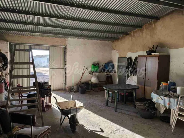 Casa de campo-Masía en Venta en Yecla Murcia — 25