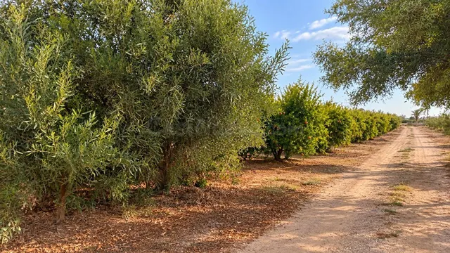Encantadora Casa de Campo en La Hoya -