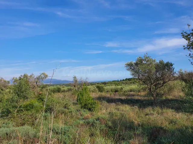 Bonita finca con vistas al mar, ideal para construir una viv