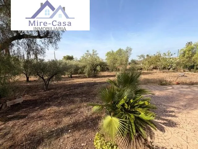 SE VENDE CHALET EN PARTIDA DEL BOCH, MUY CERCA DE ELCHE Y CREVILLENTE — 14