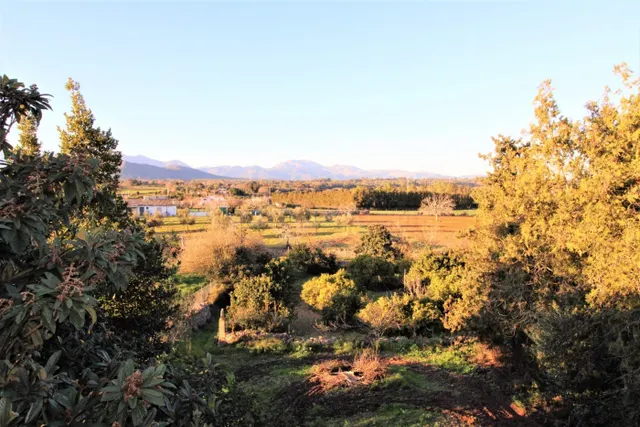 Finca Rústica en Llubí — 4