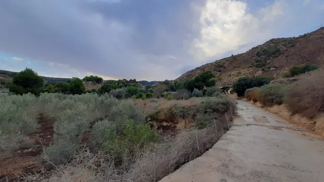 Casa con parcela  Camino de Los Puros — 15