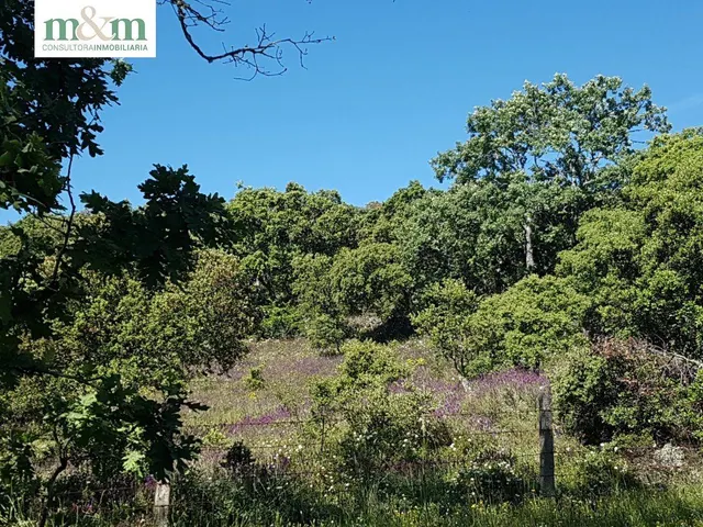 ¡¡¡CASA CON JARDIN EN VENTA EN FRADES DE LA SIERRA!!! — 50