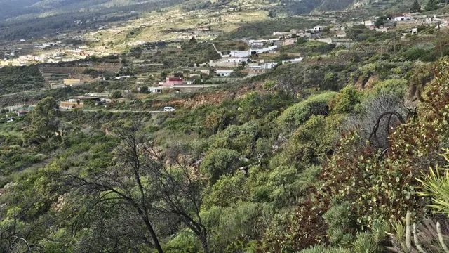 TINERCASA TIENE DISPONIBLE FINCA RÚSTICA EN ARAFO – NATURALE - foto 5