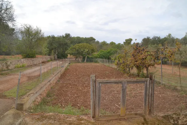 Finca rústica — 30
