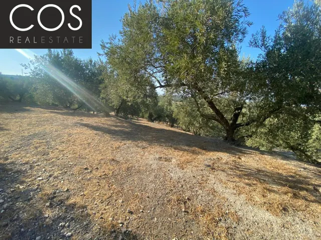 Parcela 40m² en venta - Urbanizacion azahar — 14