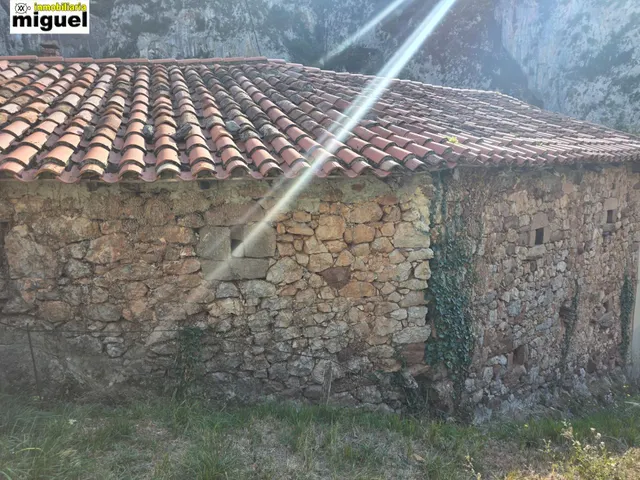 Oportunidad de Inversión en Peñarrubia - Picos de Europa — 6