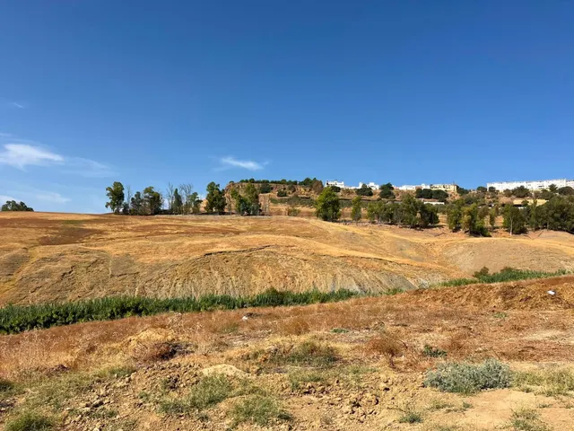 Venta de finca rústica en Carmona (Sevilla) — 2