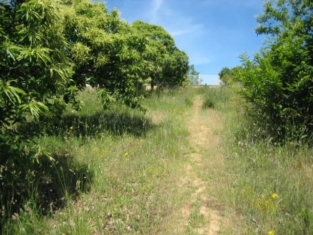 Terreno urbano en venta - Cabañas raras