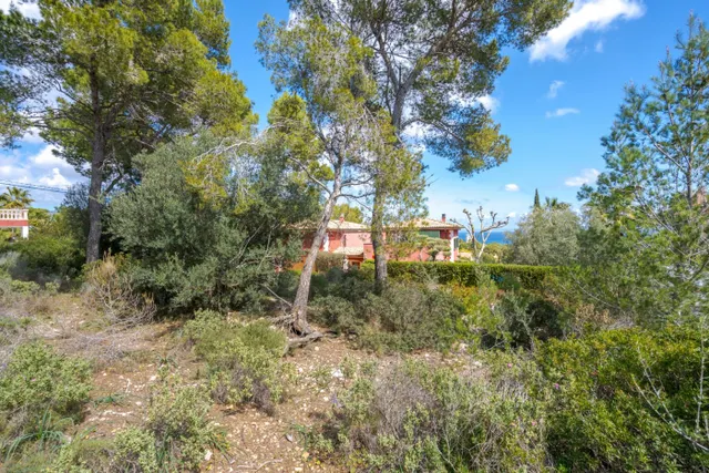 Solar edificable con proyecto en Cala Vinyes — 2
