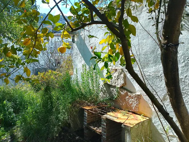 Finca ideal para construir tu casa. — 15