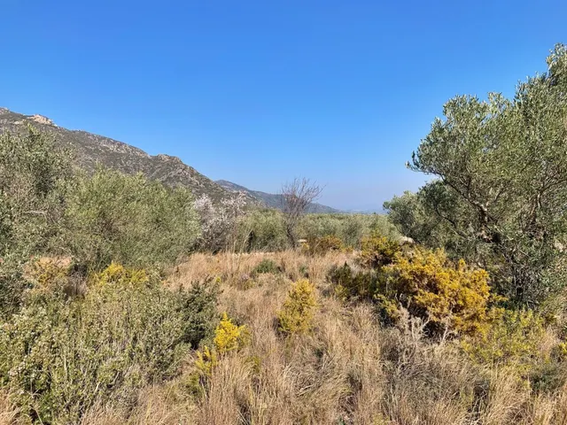 Finca rústica 15m² en venta - Roquetes - foto 5