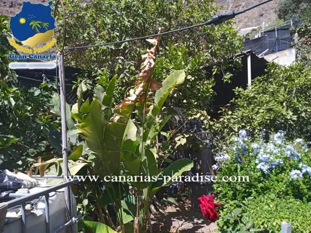 Canarias Paradise Real Estate - Casa independiente de 3 dorm - foto 2