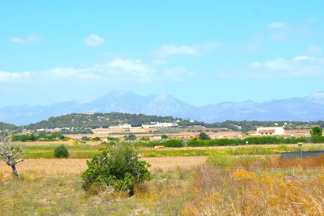 Finca rústica con posibilidad de construir una vivienda en S - foto 2