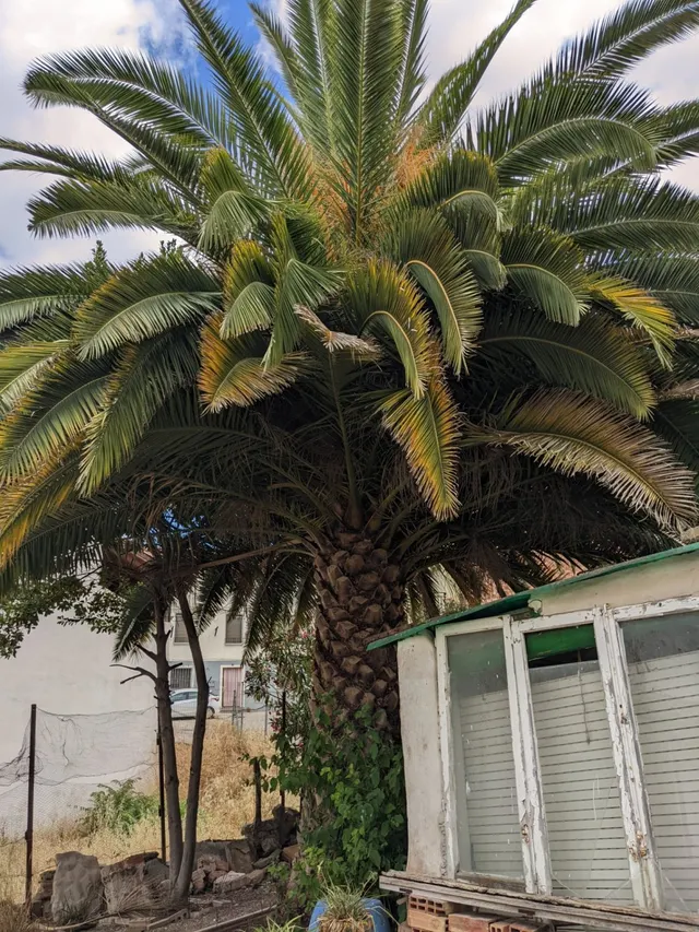 Casa en Lodosa — 22