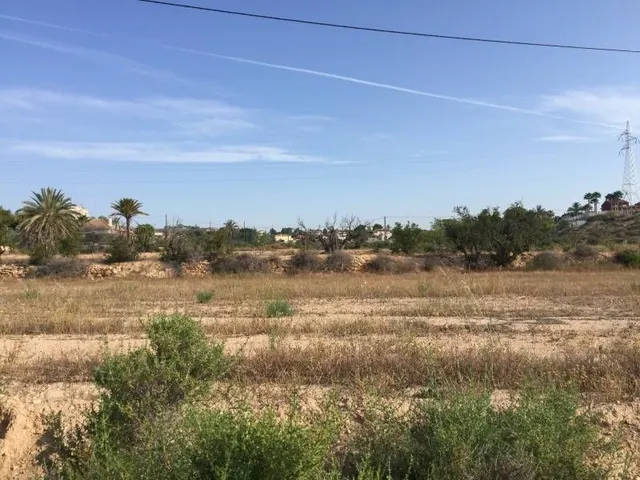 Parcela urbana de casi  30.000m2 en Elche - Zona Pena Las Aguilas — 5