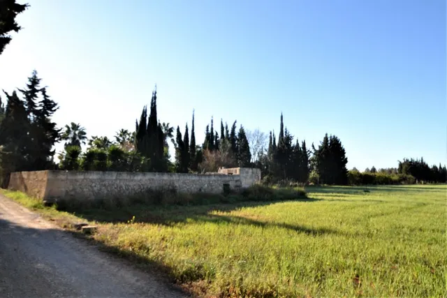 Finca con proyecto aprobado en Llubi — 11