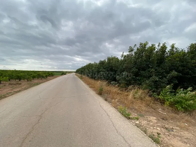 Terreno rural de kaki empeltado con manzanos - foto 2