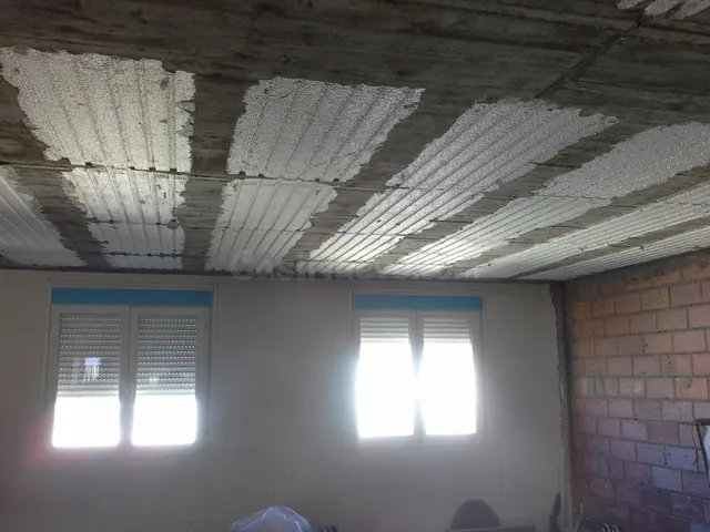 NAVE CON VIVIENDA UNIFAMILIAR EN CALLE ALFREDO LOPEZ, DEL BA - foto 4