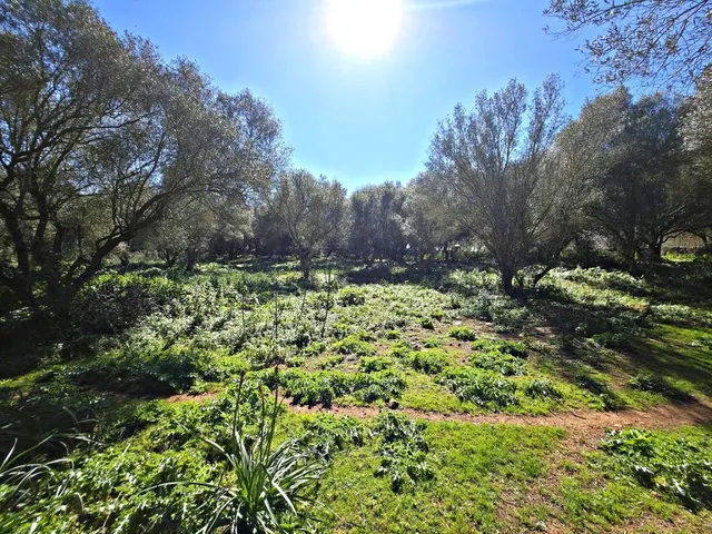 Solar residencial en Venta en Felanitx Baleares — 22