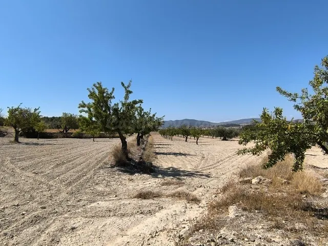Parcela en venta - Comunidad valenciana - foto 2