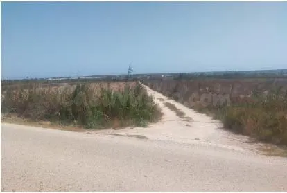 Terreno en la hoya- elche - foto 2