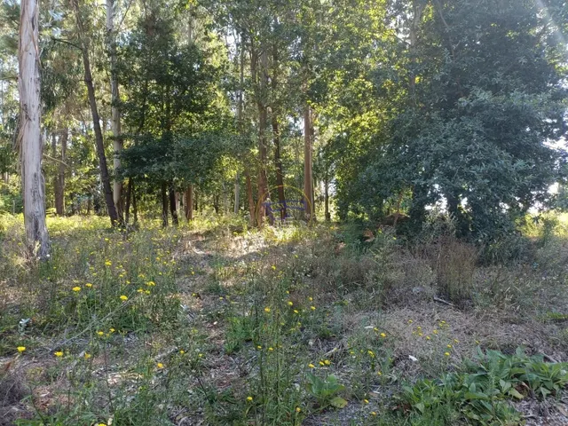 Casa en Cabral de 5 dormitorios con amplia parcela de unos 5.000 m2 — 8