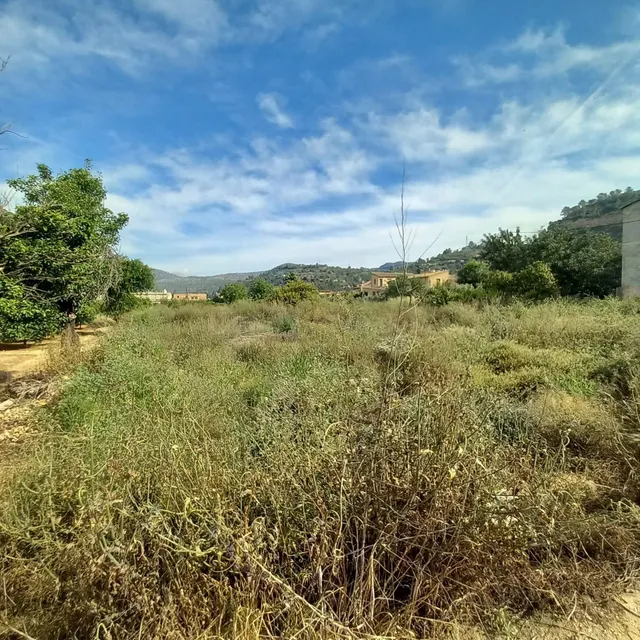 Finca rústica de 1.176 m2 con agua de riego a solo dos minut