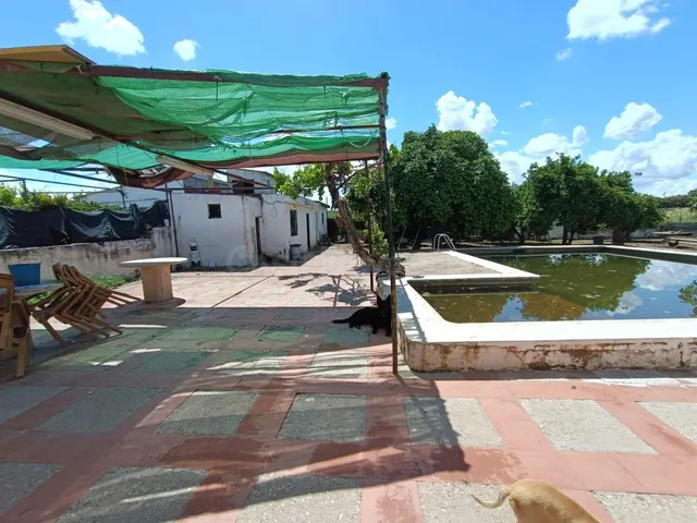Parcela rustica con casa en las Quemadas¡¡¡¡¡¡