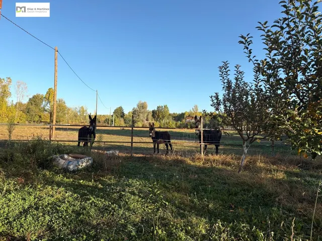 CASA CON AMPLIO TERRENO PRÓXIMA A LEÓN - foto 3