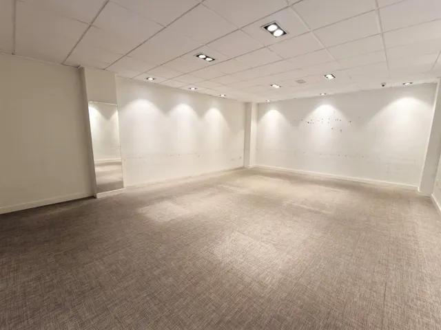 Gran Local Comercial en pleno centro de Guardamar del Segura — 17