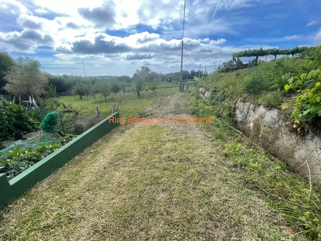 REF 4178 TERRENO RÚSTICO 1181m2 TAMEIGA ( MOS ) — 6
