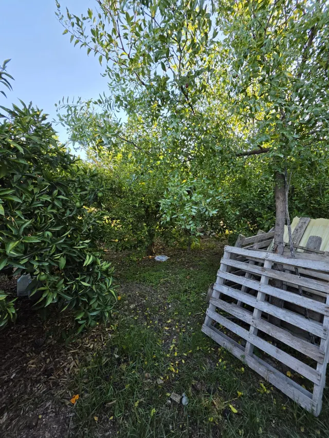 ¡tu refugio de tranquilidad en Lorquí! casa con parcela de 1.000 m2 — 13