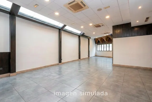 GRAN LOCAL COMERCIAL EN AVENIDA DE SALOBREÑA — 9