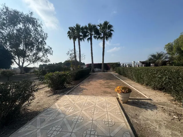 FINCA LAS BRISAS EN DAYA VIEJA — 38