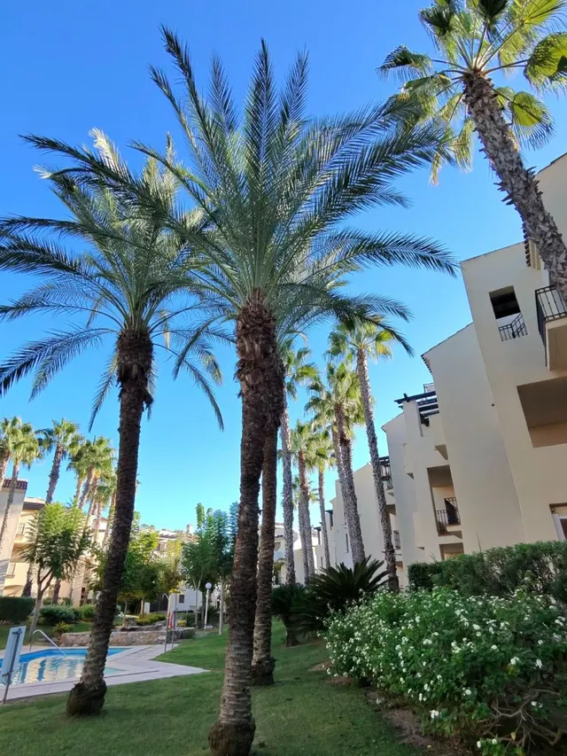 Apartamento 2 habitaciones 70m² en venta - San Javier — 7