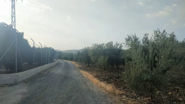 Huerta en venta — 3