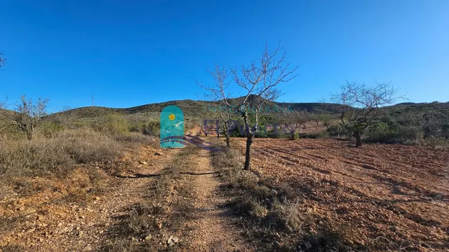 GRAN TERRENO JUNTO A LOS ALTOS DE LAS PALAS – REF. 2112 - foto 5