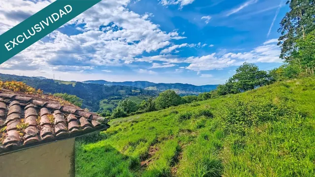 Más de una hectárea de Asturias, una cabaña de piedra y todo - foto 2
